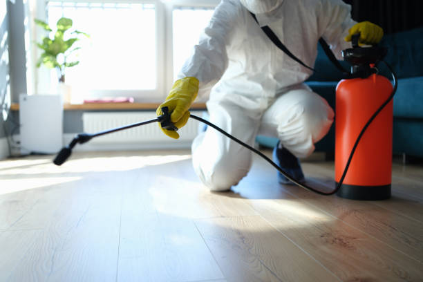 Reliable Biohazard Cleanup contractor in Palm Beach, FL by Trauma Clean Pros